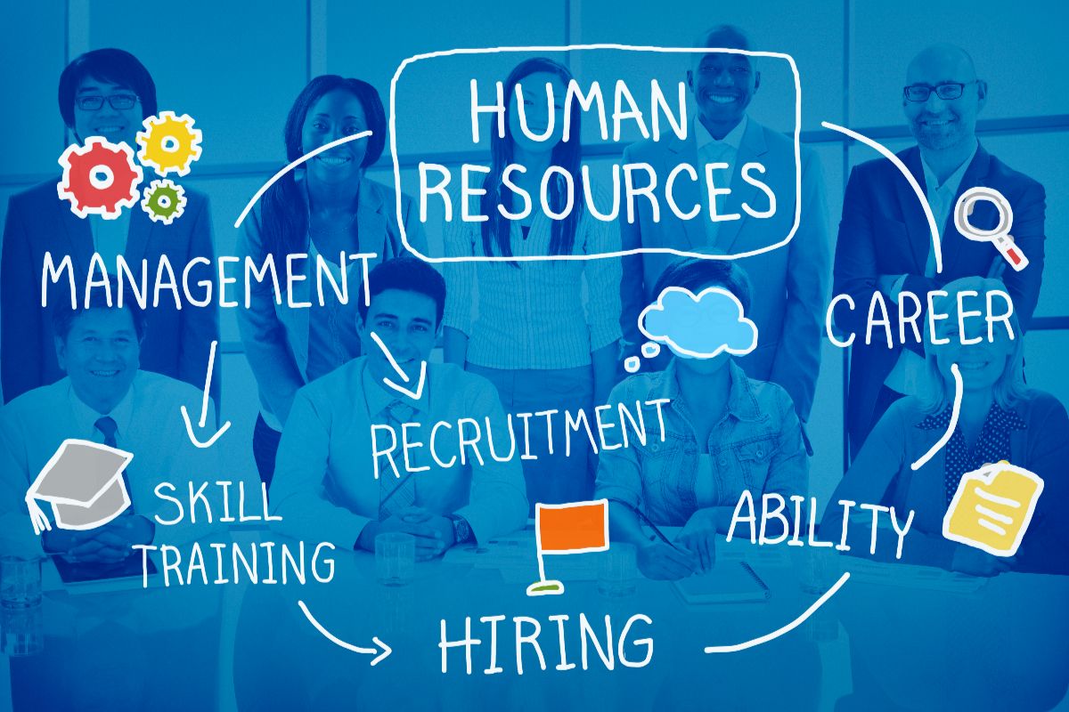 Establish an HR structure